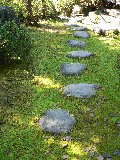 武家屋敷の庭
