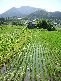 白鷹山を望む集落と田園