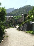 中山集落内の茅葺民家の街並み